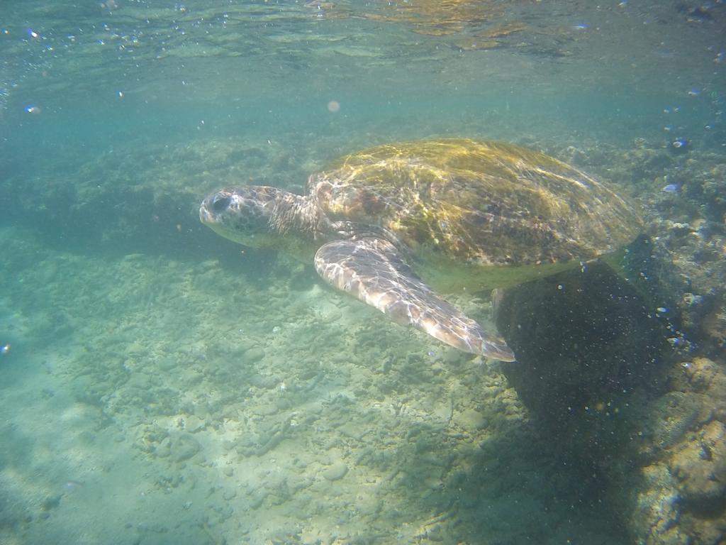Grand Villa Hikkaduwa Rom bilde